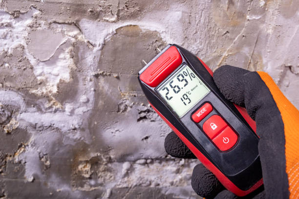 Best Mold Removal and Inspection  in The Crossings, FL
