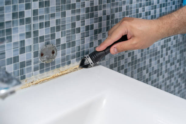 Best Affordable Mold Removal  in The Crossings, FL