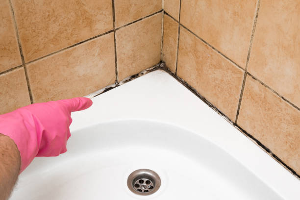 Best Emergency Mold Removal  in The Crossings, FL